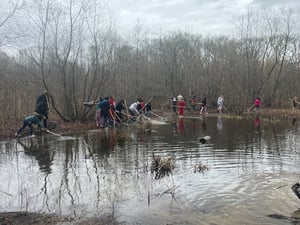 4. Netting in pond